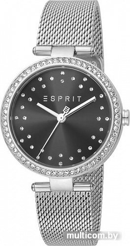 Наручные часы Esprit ES1L199M0045