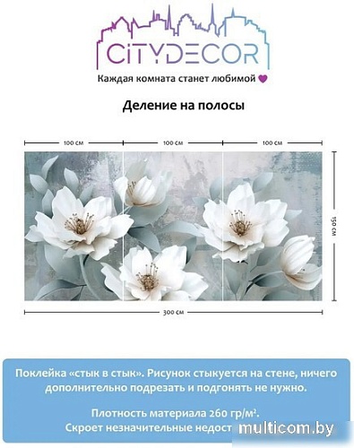 Фотообои Citydecor Абстракция 41 300x150