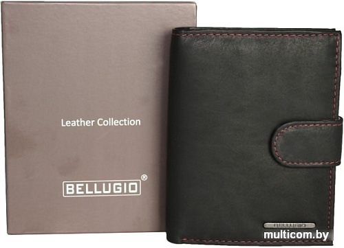 Кошелек Bellugio AM-24-072A