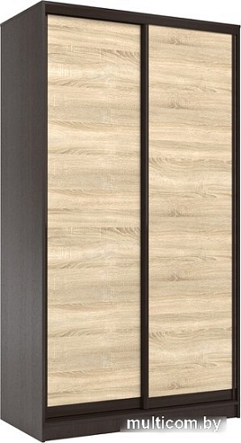 Шкаф-купе Евва 158 VSG.13 АЭП ШК.2 01 (венге/дуб сонома)