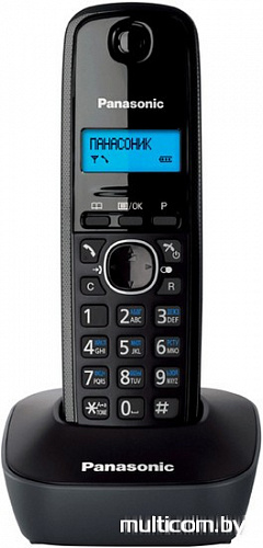 Радиотелефон Panasonic KX-TG1611RUH