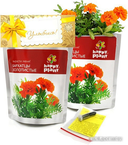Набор для опытов Happy plant Бархатцы золотистые hpn-30