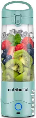 Портативный блендер NutriBullet NBP003LBL