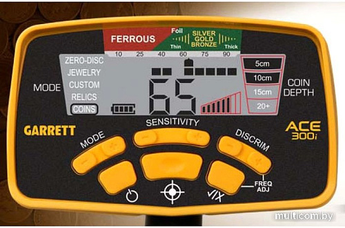 Металлоискатель Garrett Ace 300i Rus