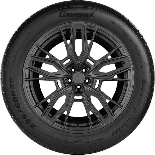 Зимние шины Gripmax SureGrip eWinter 245/45R17 99V