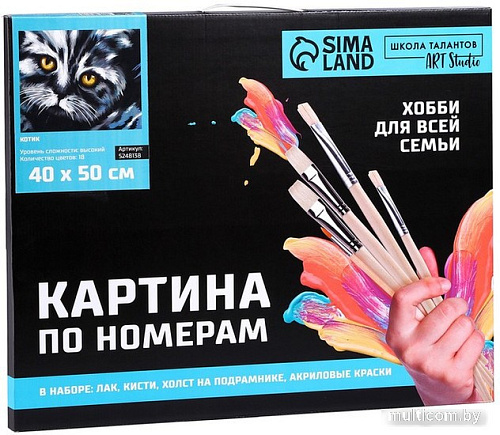 Картина по номерам Школа талантов Котик 5248138