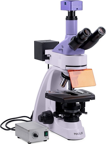 Микроскоп Magus Lum D400L 83018