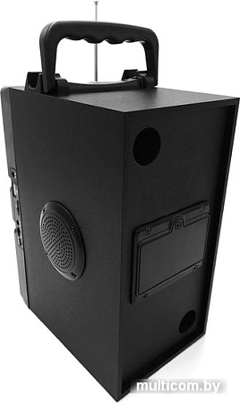 Беспроводная колонка Media-Tech MT3167