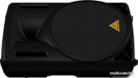 Концертная акустика BEHRINGER EUROLIVE B215D