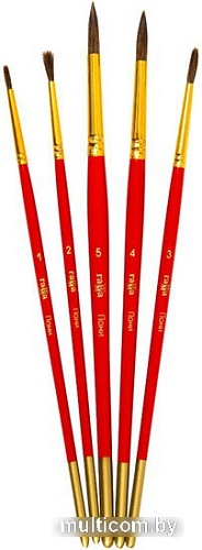 Набор кистей Гамма Пони 230818.01.01 (5 шт)