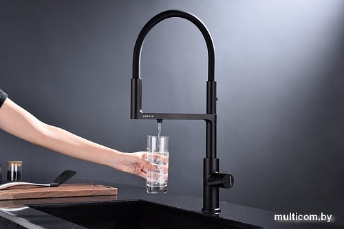 Смеситель Paulmark Tornado TO213402-401 (черный/антрацит)