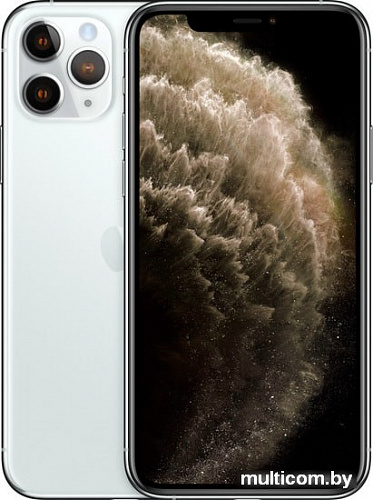 Смартфон Apple iPhone 11 Pro Max 512GB Dual SIM (серебристый)