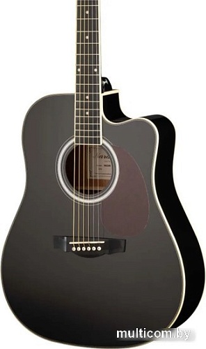 Акустическая гитара Naranda TG220CBK