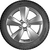 Зимние шины Ikon Tyres Autograph Ice 9 225/50R17 98T (шипы)