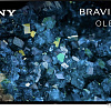 OLED телевизор Sony Bravia A80L XR-65A80L