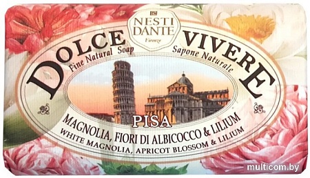 Nesti Dante Мыло твердое Pisa 250 г