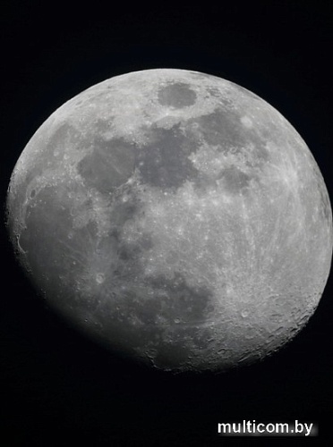 Картина Woodary 3035