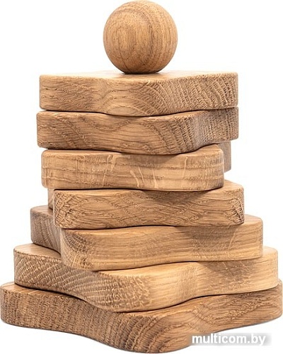 Пирамидка Polle Toys Пирамидка с сечением цветок TO0414OA00 (дуб)