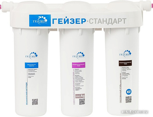 Стационарная система &quot;под мойкой&quot; Гейзер Стандарт (для мягкой воды)