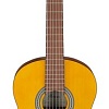 Акустическая гитара Ibanez GA3 OAM