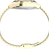 Наручные часы Timex TW2W62500
