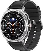Умные часы Samsung Galaxy Watch8 Classic 46 мм LTE (серебристый/черный)