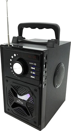 Беспроводная колонка Media-Tech MT3166