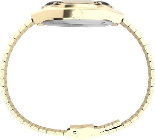 Наручные часы Timex TW2W62500