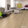 Ламинированный пол EGGER BM Flooring Basic EBL039 Дуб Фалун