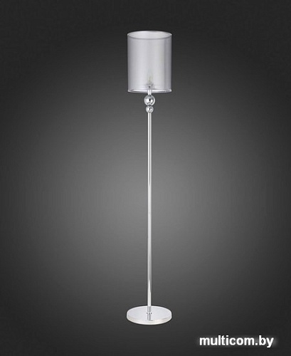 Evoluce Pazione SLE107105-01