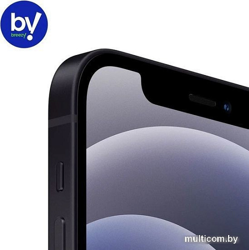 Смартфон Apple iPhone 12 64GB Воcстановленный by Breezy, грейд C (черный)