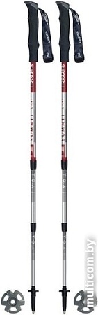 Треккинговые палки Masters Summit Light Red 01S4419