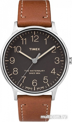 Наручные часы Timex TW2P95800