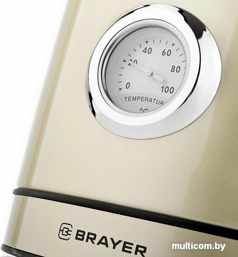Электрочайник Brayer BR1005YE