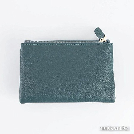 Кошелек Francesco Molinary 895-6090-LGN (зеленый)