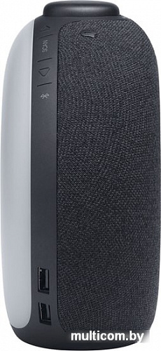 Часы JBL Horizon 2 FM (черный)