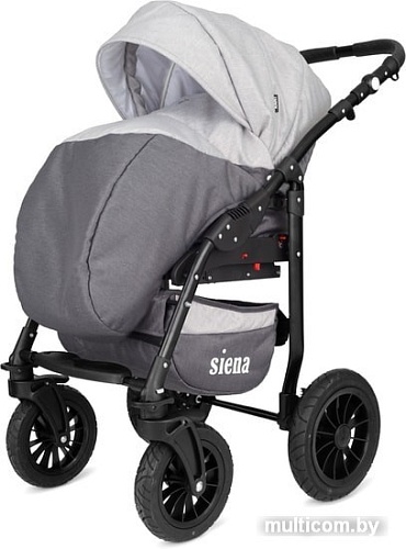 Универсальная коляска Rant Siena (2 в 1, 04 графит/серый)