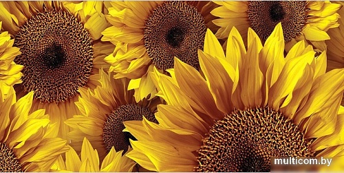 Корзина JoyArty Подсолнухи gaba_9855