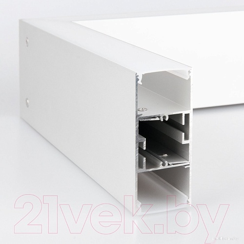 Подсветка для картин Elektrostandard 101-100-30-103 20W 6500K (матовое серебро)