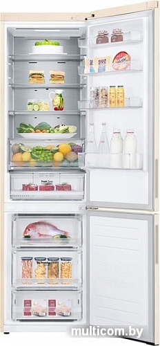 Холодильник LG GA-B509CEQM