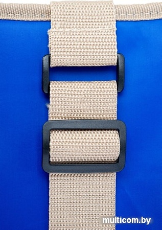 Термосумка BIOSTAL TC-30B 30л (синий)