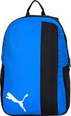 Puma TeamGOAL 23 07685402 (черный/синий)