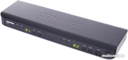 Микрофон Shure BLX288E/SM58 M17