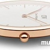 Наручные часы Daniel Wellington DW00100055