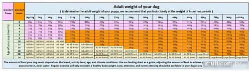 Сухой корм для собак Grandorf Dog Puppy Lamb & Turkey (с ягненком и индейкой) 3 кг