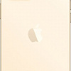 Смартфон Apple iPhone 12 Pro Max 256GB (золотой)