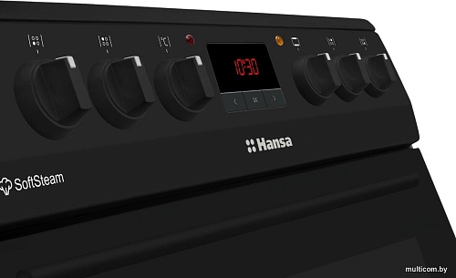 Кухонная плита Hansa FCCM69225H