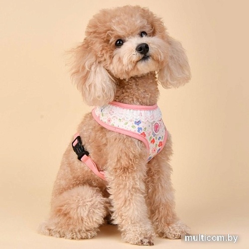 Шлейка Pinkaholic Crocus NAUA-HA7631-IP-M (розовый)