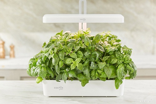 Умный сад CACTUS CS-LEDPOT-10