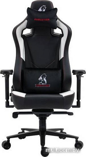 Кресло Evolution Project A (черный/белый)